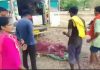 *रानडुकराच्या हल्ल्यातील जखमींवर तात्काळ उपचार ; १०२ आणि १०८ रुग्णवाहिकांच्या तत्परतेमुळे वाचले प्राण*