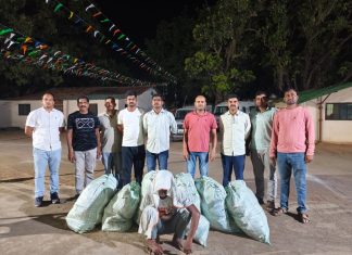 अंमली पदार्थाचे उत्पादन घेऊन विक्री करण्याच्या तयारीत असलेल्या आरोपीस गडचिरोली पोलीसांनी घेतले ताब्यात